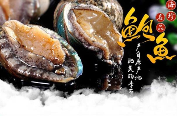 鮑魚的清洗方法是什么 鮑魚如何挑選及保存 鮑魚的營養價值