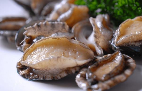 鮑魚的清洗方法是什么 鮑魚如何挑選及保存 鮑魚的營養價值