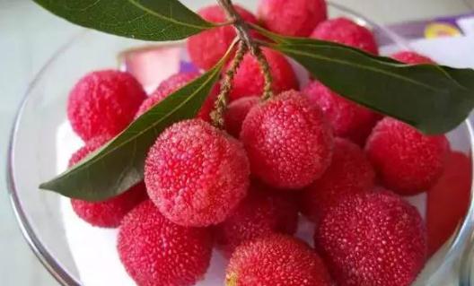 洗過的楊梅可以放進(jìn)冰箱保鮮嗎?楊梅的正確清洗方法步驟