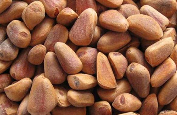 生松子怎么炒開口?松子開口方法鑒別(吃松子好處和禁忌)