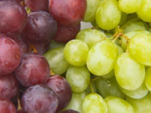 如何分辨提子和葡萄?提子與葡萄的區別