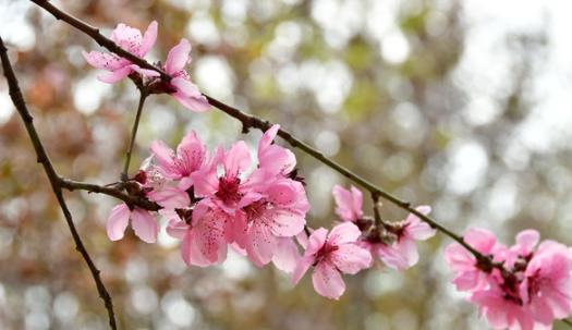 夏天是幾月到幾月 2021年全國高溫補貼是哪幾個月