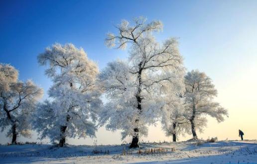 三九天要吃什么 2022三九天時(shí)間表