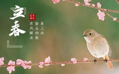 立春還會冷多久 2022年立春后還會倒春寒嗎