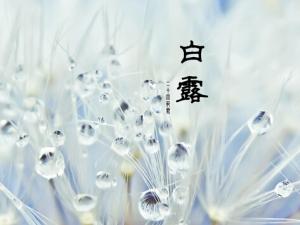 白露是什么時候？白露飲食最佳之選
