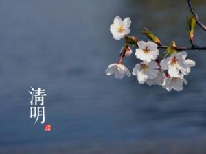 清明是什么時候？二十四節氣之清明的由來與含義