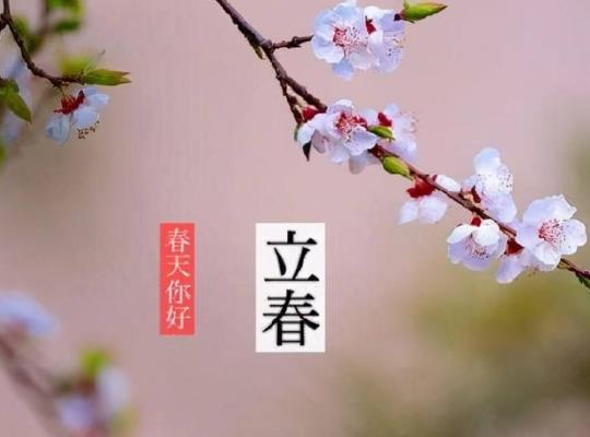 2022年立春是什么時候?立春前上墳是兄弟姐妹一起去嗎