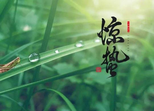 驚蟄打雷時要注意什么?驚蟄吃梨有什么寓意
