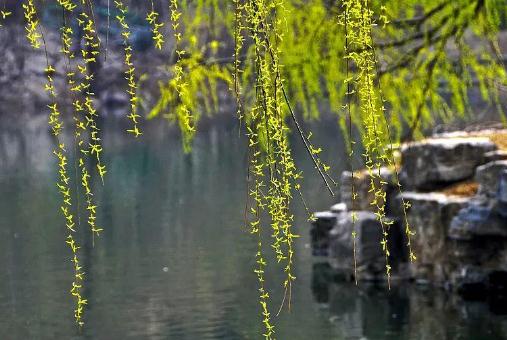 ǧ(ji)ʲô(ji)ǧ(ji)Դʲô