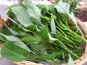 寶寶吃空心菜有什么好處?寶寶吃空心菜的做法