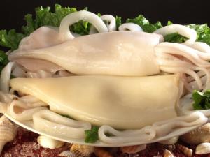 孕婦吃墨魚有什么好處?吃墨魚的做法