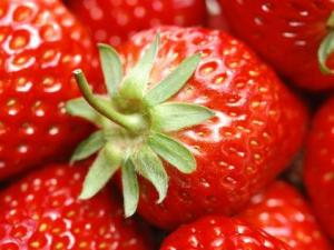 孕婦能不能吃草莓？懷孕期間可以吃草莓嗎