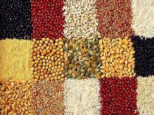 哺乳期怎么補膳食纖維?含膳食纖維高的食物