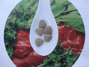 葉酸片什么時候吃最好？葉酸片什么牌子最好