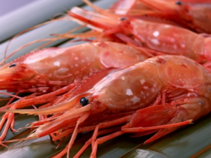 草蝦怎么做好吃？草蝦的營養(yǎng)價值