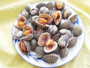 泥蚶怎么做？泥蚶的做法-泥蚶的營養價值