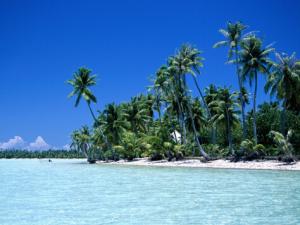夏天別吃這些食物，小心會(huì)體臭！