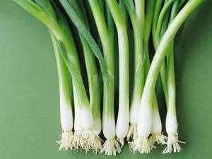 蔥并非百搭-什么情況不能吃蔥?