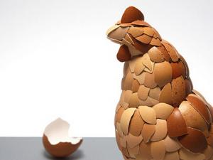 雞蛋養分價值都差未幾-怎么選購新鮮雞蛋?