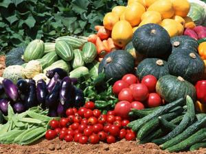 不要相信豆漿是高鈣食品-揭秘補鈣謊言