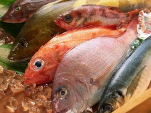 吃哪種魚可補肝益氣？各種魚肉的保健功效