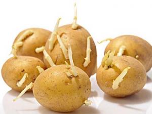 土豆長芽能吃嗎?吃土豆的食用禁忌