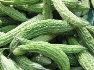 如何挑選苦瓜?吃苦瓜的注意事項