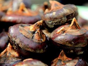 如何挑選荸薺？吃荸薺的食用禁忌