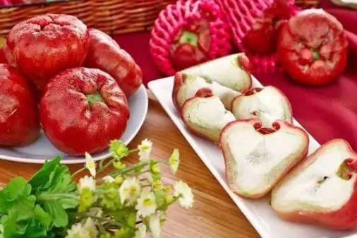 食用蓮霧的注意事項(xiàng)-蓮霧的功效與作用