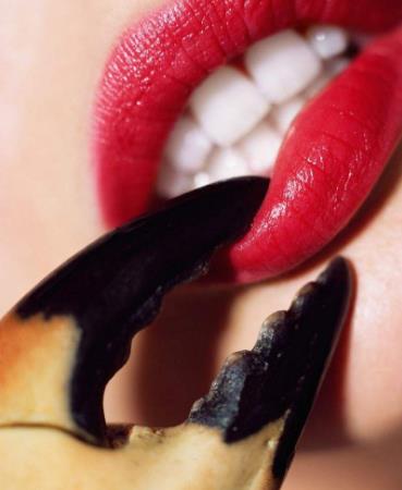 螃蟹不能和什么一起吃?吃完螃蟹不能吃什么