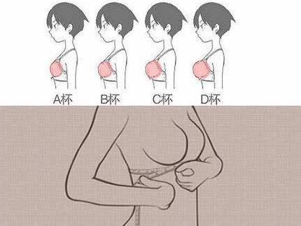 ֱʲô˼ֱabcdefgôִСDƬֱߴ猦ձ