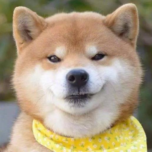 可鹽可甜是什么意思?可鹽可甜是形容男生還是女生的?