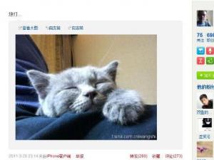 王石新歡田樸珺微博曝光,二人巴西吃烤肉