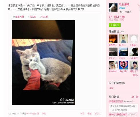 ʯgB΢ع˰Կ΢ͬһֻ؈