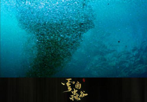 云南蟲谷里的下蠱是真的嗎 云南蠱蟲真實存在嗎