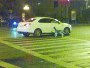 南京街頭現“開車遛狗” 警方稱發現將罰款