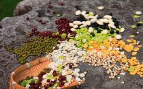 女性豐胸吃什么？吃點核桃加松仁