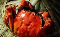 哪些人不能吃大閘蟹？什么人不宜吃大閘蟹