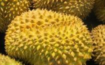 如何挑選榴蓮？吃榴蓮的注意事項(xiàng)