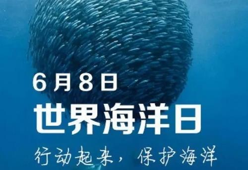 6月8日是什么節日？世界海洋日是幾月幾日