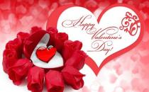 5月14日是什么節日？玫瑰情人節是幾月幾號