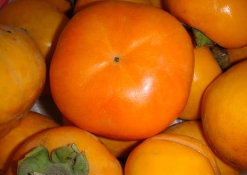 柿子太澀怎么辦？生柿子如何去澀