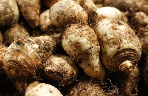 芋頭的介紹及營養(yǎng)價值及功效與作用