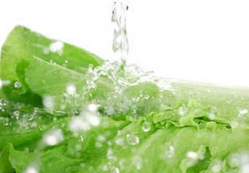 蔬菜農藥殘留怎么辦？洗菜的小訣竅