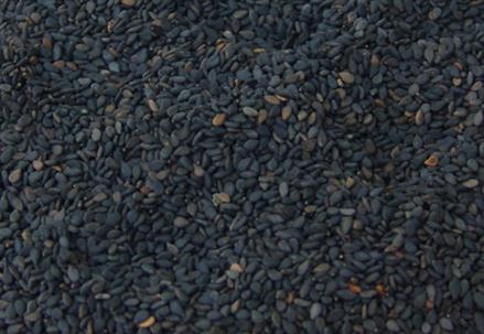 黑芝麻怎么吃最好？吃黑芝麻的好處