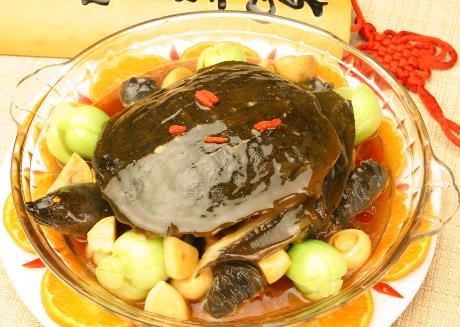 甲魚不能和什么一起吃？吃甲魚有哪些飲食禁忌