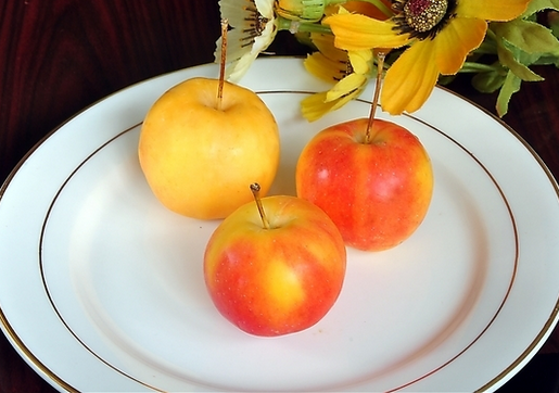 食用沙果的注意事項-沙果的功效與作用