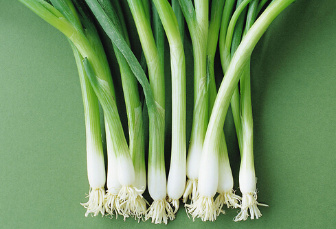 蔥并非百搭-什么情況不能吃蔥？