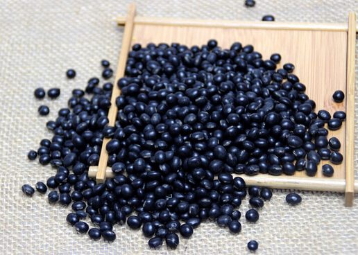 常食黑豆有助懷孕有科學依據(jù)嗎？
