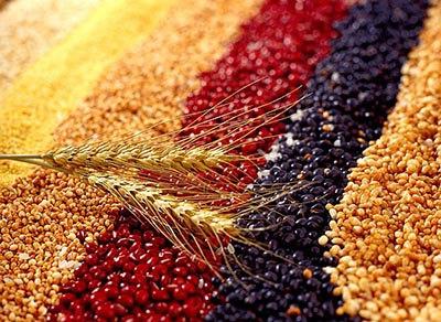 春季如何調(diào)理腸胃？清淡粗糧搭配養(yǎng)胃藥膳